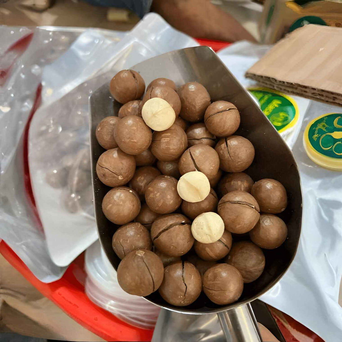 Premium Macadamia Nuts – Buy Online in Pakistan | Fruitx GB